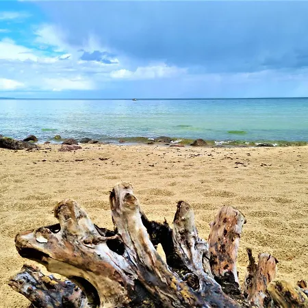 Διαμέρισμα Weisse Duene