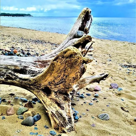 Apartament Weisse Duene